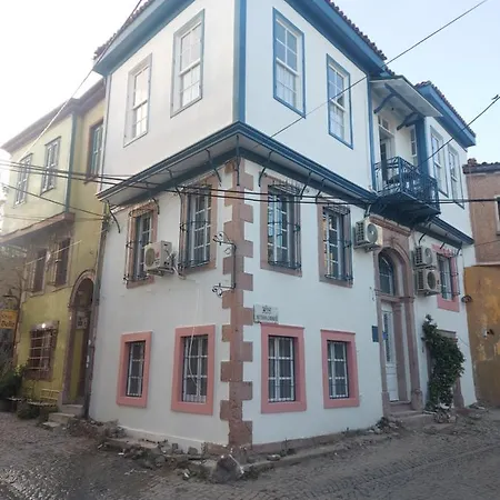 Homestay Mimosa House *