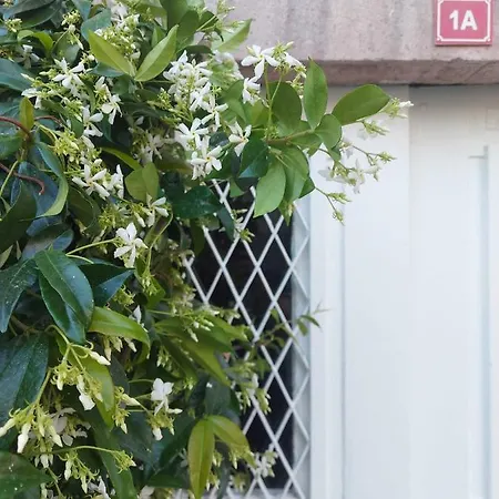 Mimosa House Ayvalik