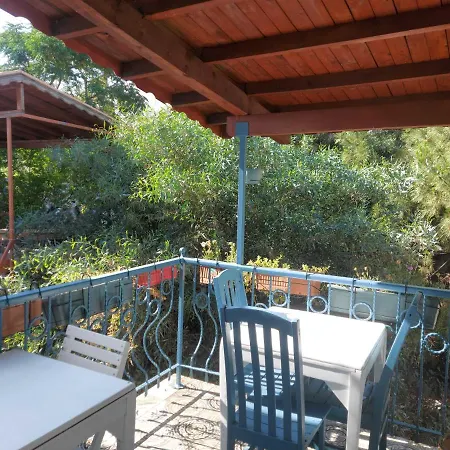 Mimosa House فندق