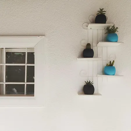 Mimosa House *