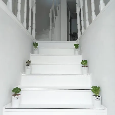 فندق Mimosa House