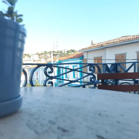 Mimosa House