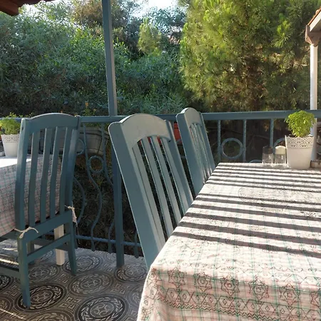 Mimosa House Homestay
