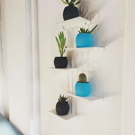 Mimosa House Готель