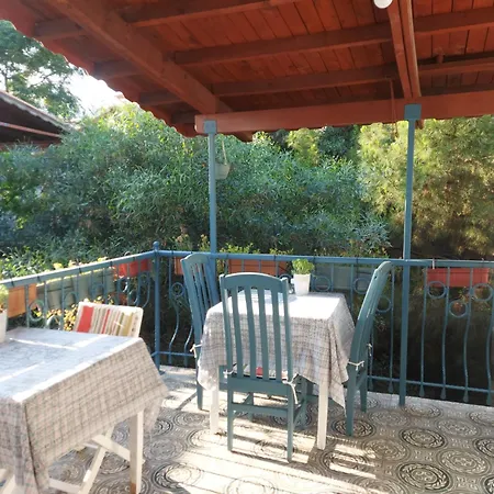 Mimosa House Готель *