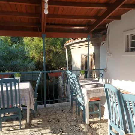 Mimosa House Готель