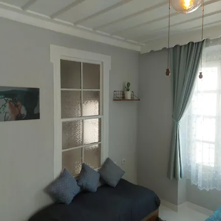 Готель Mimosa House *