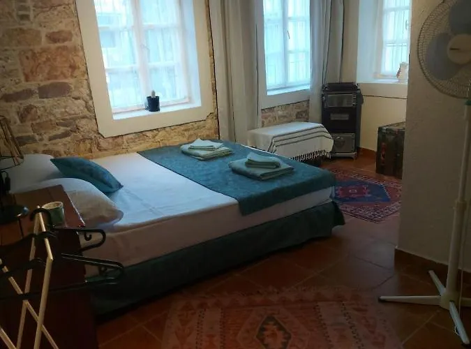 Hotel Mimosa House *