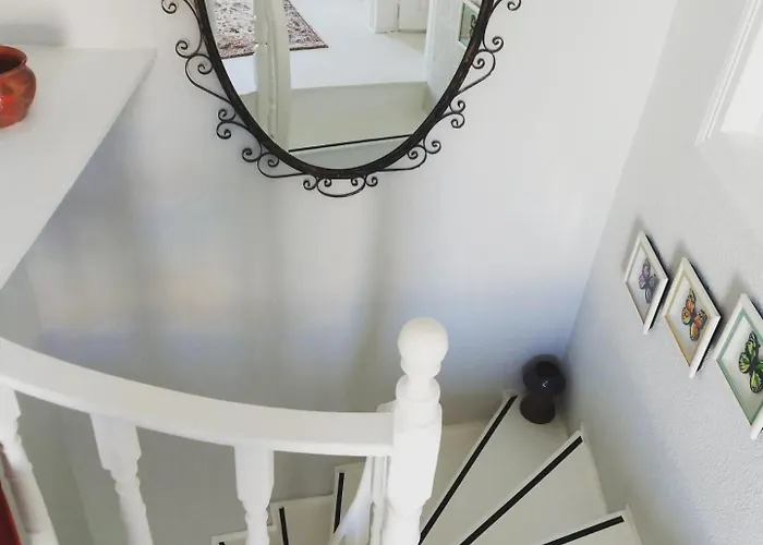 Hotel Mimosa House *