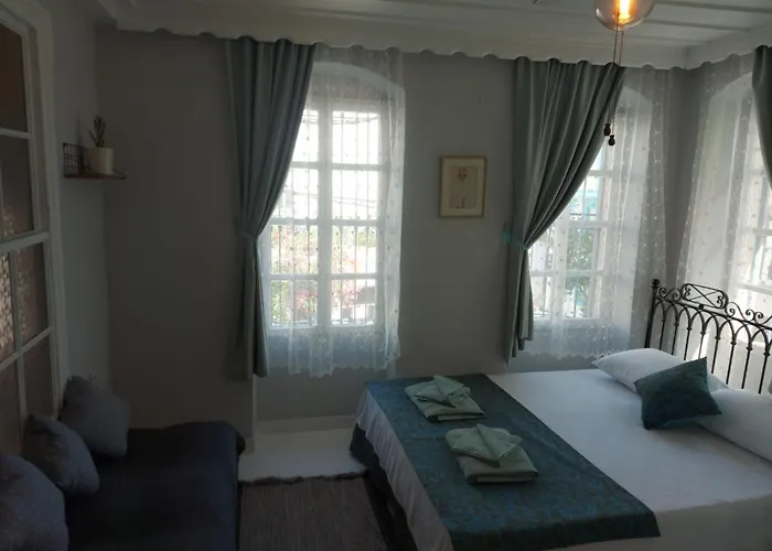 Hotel Mimosa House *